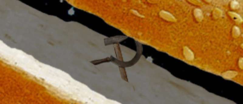 A-A 2024-09-22 at 1.32.21 PM.jpg