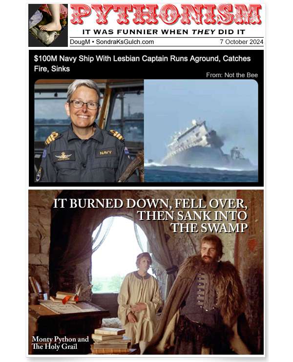 pythonism-nz-ship-sinks.jpg