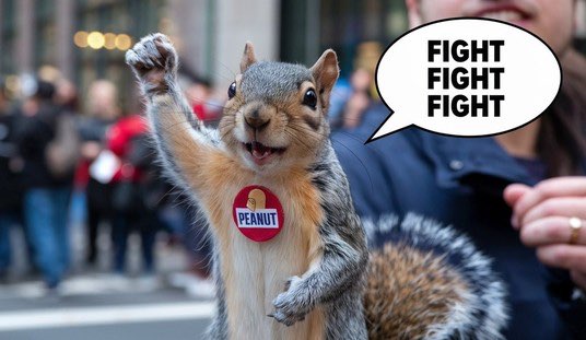 peanut the squirrel.jpeg