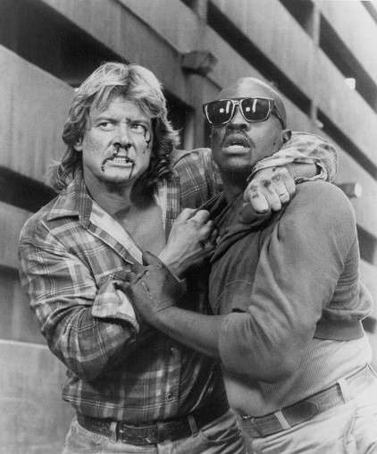 they live pic2.jpg