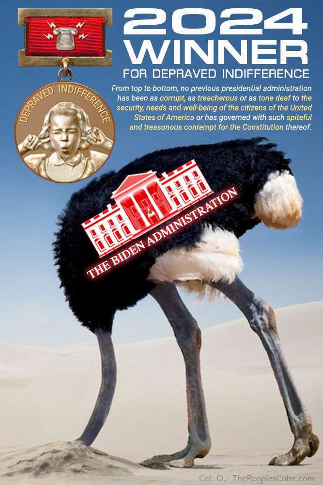 Biden Admin DI award 2024.jpg