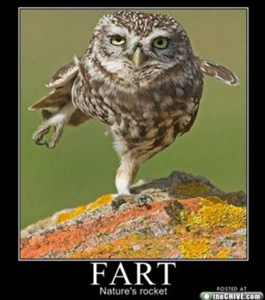 fart.jpg