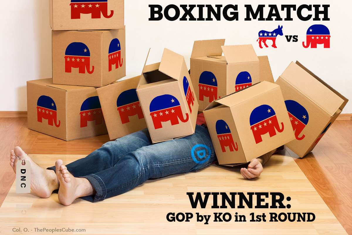 DNC Lost the boxing match.jpg