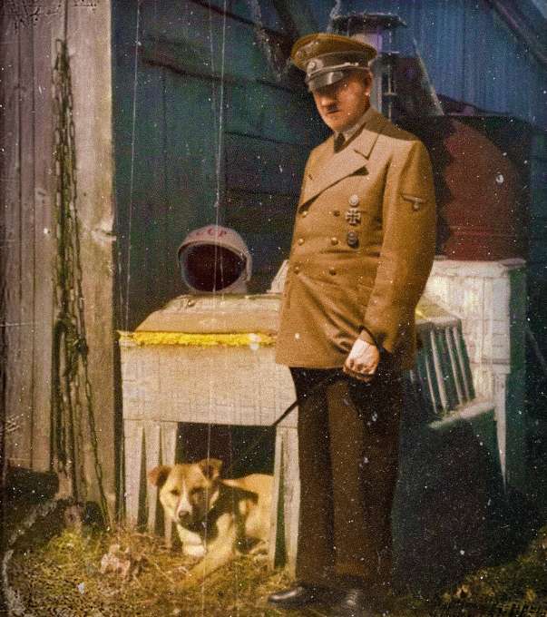 Laika in Argentina 3.jpg