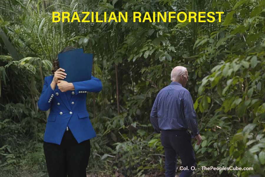 0g In the Rain Forest.jpg