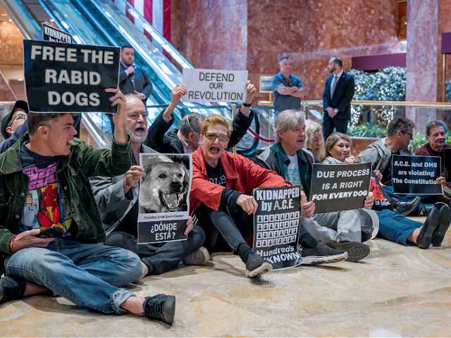 NYC Lib useful fools.jpg