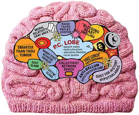 p2 brain hat.jpg