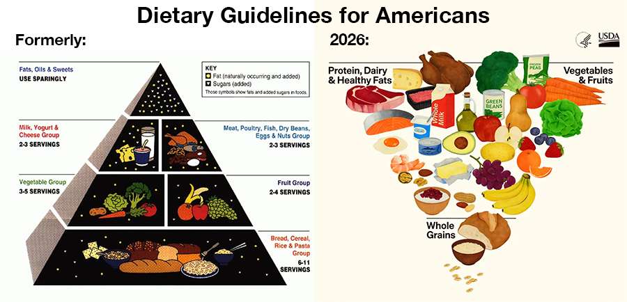 Combined  Nutition Chart.jpg