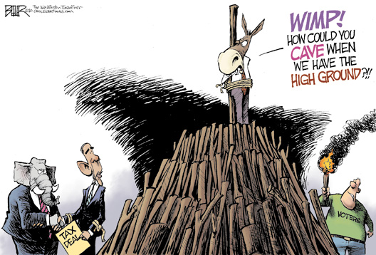 2010-12-10-digest-cartoon[1].jpg