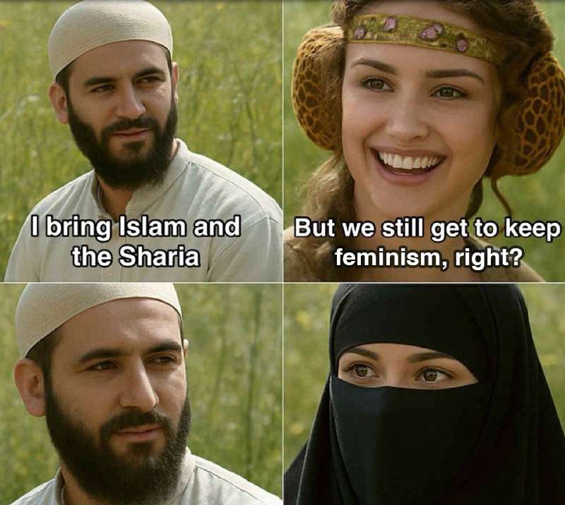 Shariafems.jpg