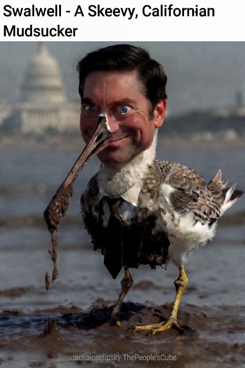 swalwellmudsuckermeme.jpg