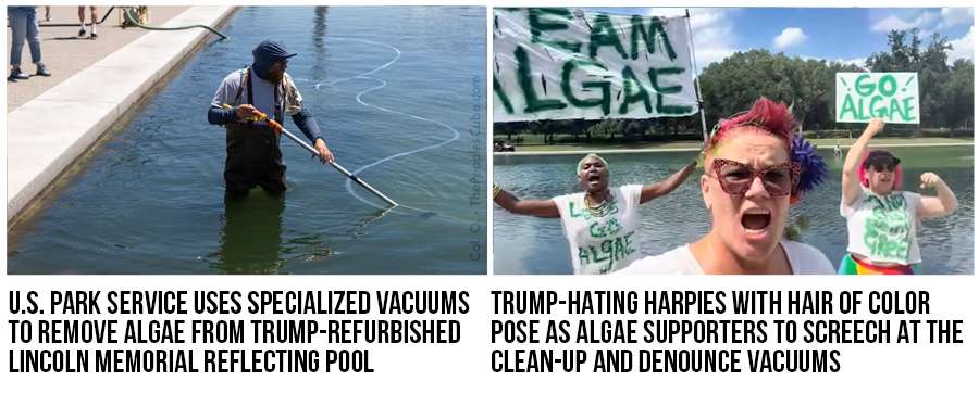 POOLcolors.jpg