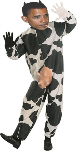 Copy of Cocic_Cow_15225xl.jpg