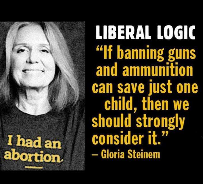steinem logic.jpg
