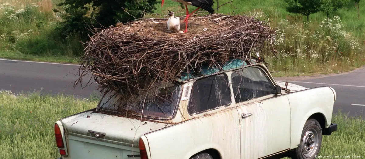 trabant.webp