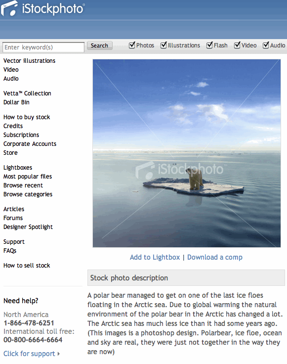 polar bear.gif