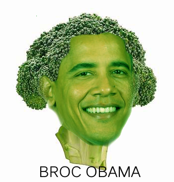 broc.jpg