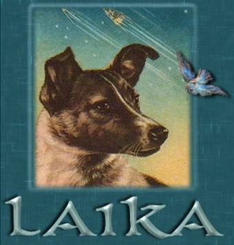 laika.jpg