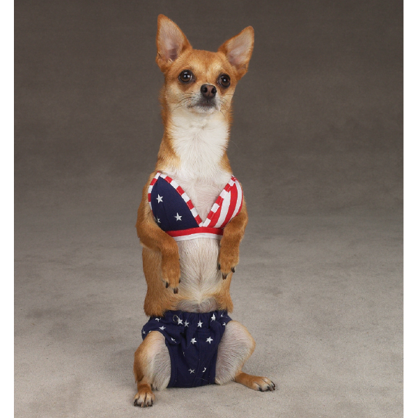 dog_bikini.jpg