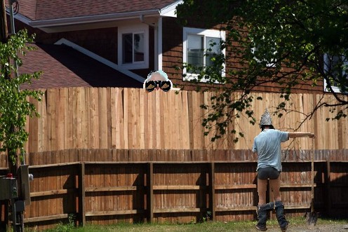 Palin_Fence_Thir_s640x427.jpg