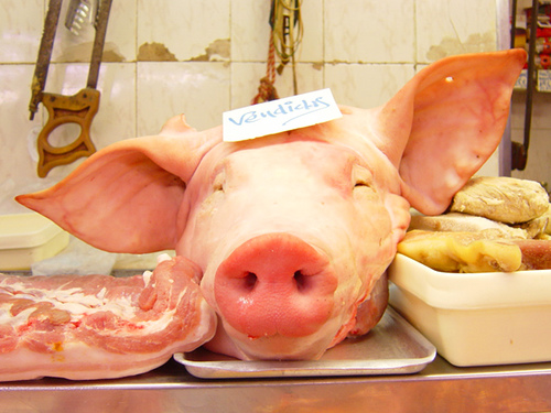 dead-kapitalist-pig.jpg