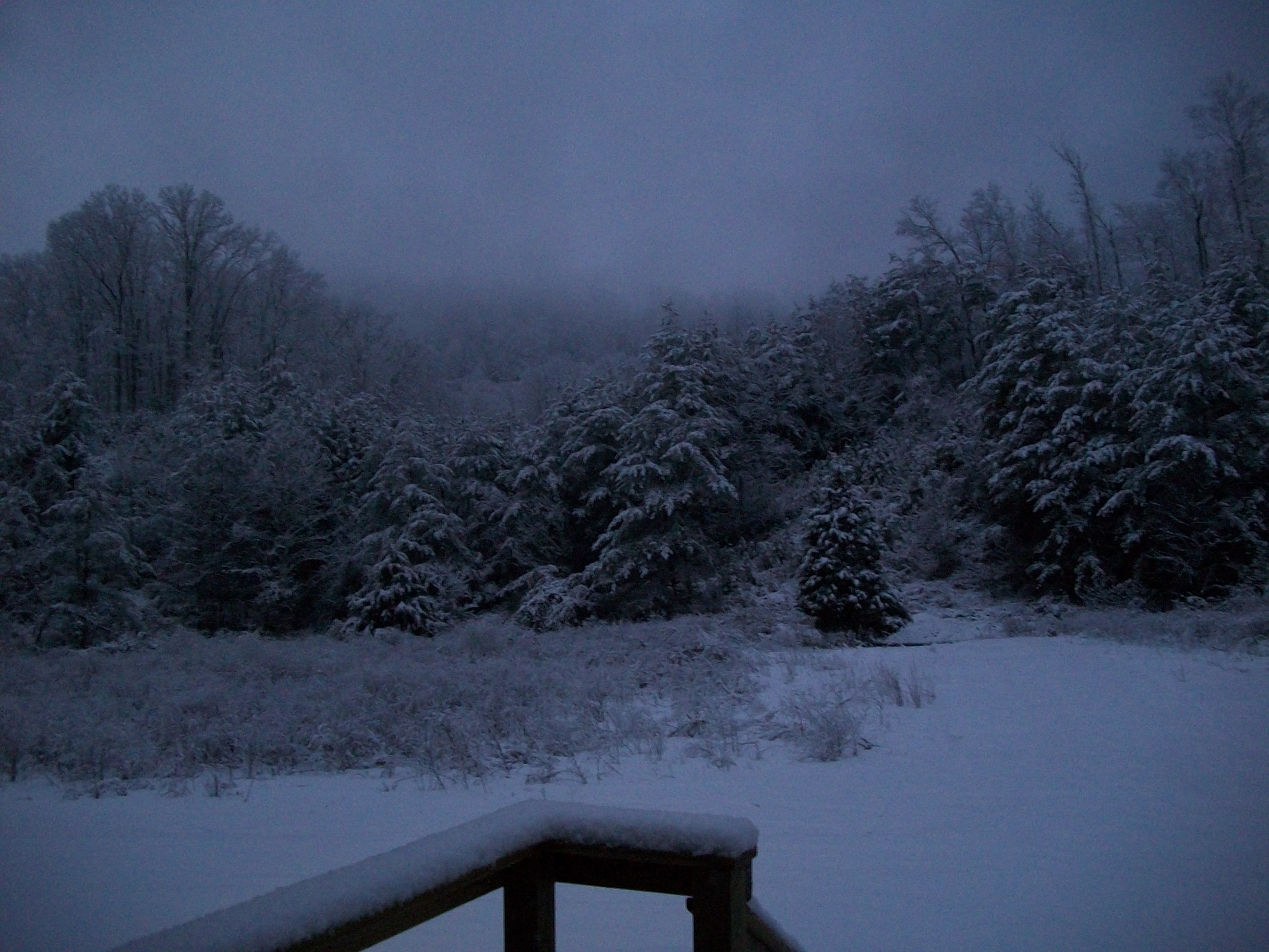 Twilight Snow 008.JPG