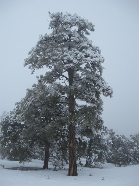Home 009.JPG