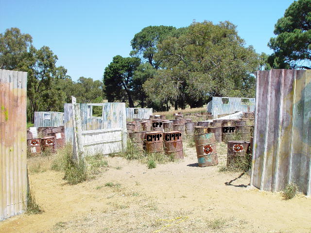 poppy seed drums.jpg