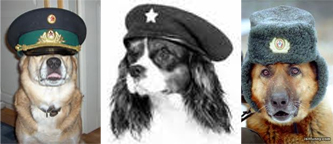 CommieDogCollage.jpg