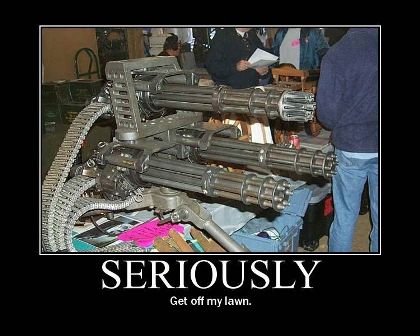 Gun control mamaw.jpg