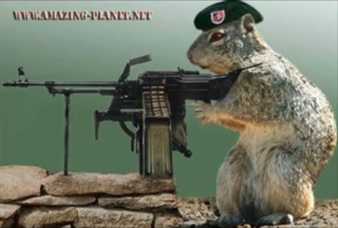 sqmgun.jpg