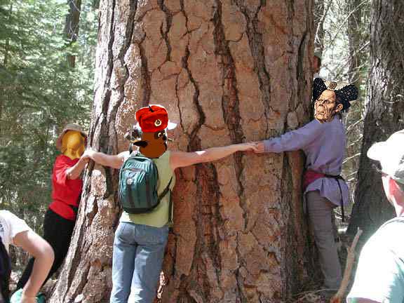 love tree1.jpg