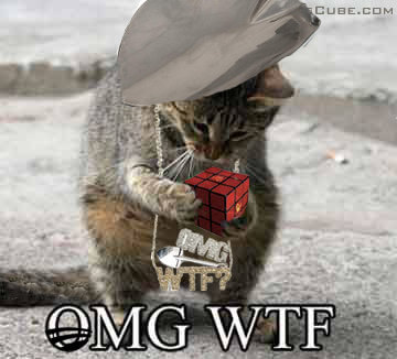 omg-wtf-kitty1.jpg