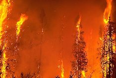 forest-fire_1076.jpg