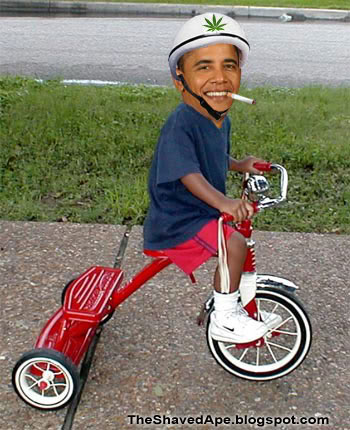 obama-weed.jpg