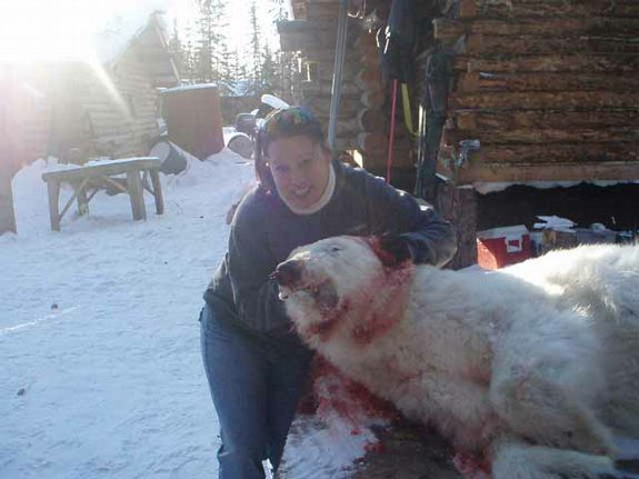 Polar Bear Shot.jpg