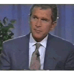 DumBush.gif