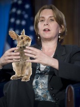 vivian_shiller_rabbit_01.jpg