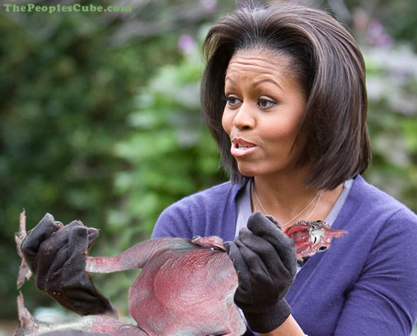 michelle-obama-choke-chicken.jpg