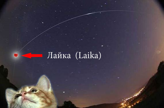 LaikaInSpace.JPG