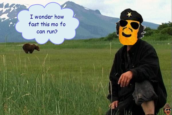 chedoh-bear1.jpg