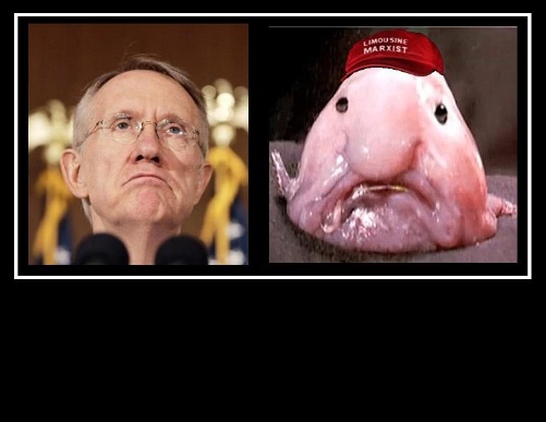 alien_reid_02.jpg