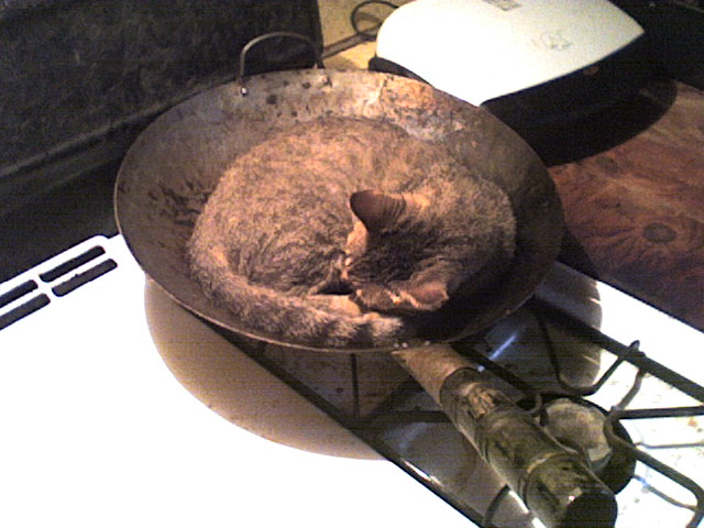 TeacupInWok.jpg