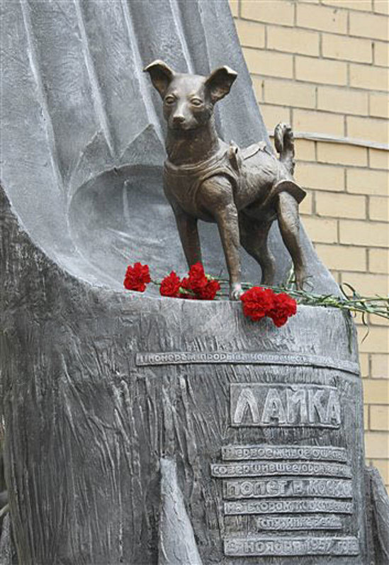 laika.jpg