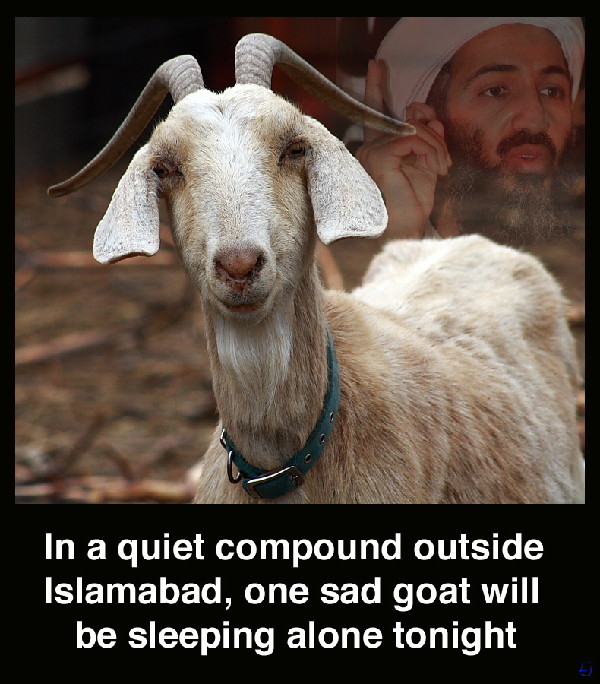 1goat2S.jpg