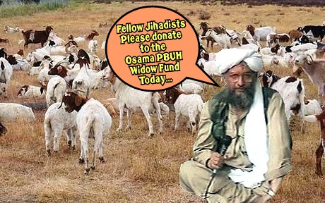 Copy of Google-goats-pics_1399482c.jpg