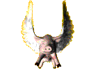 Pig_flies_3.gif