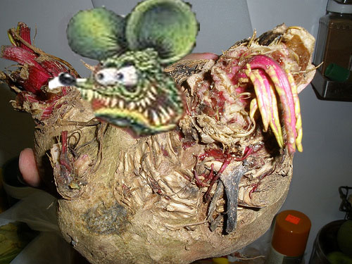 mutant beet_edited-1.jpg