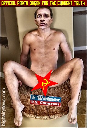 Copy of weinereerection.jpg