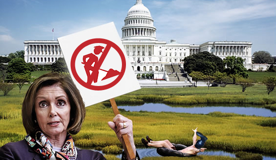 Pelosi denounces Maksim.jpg